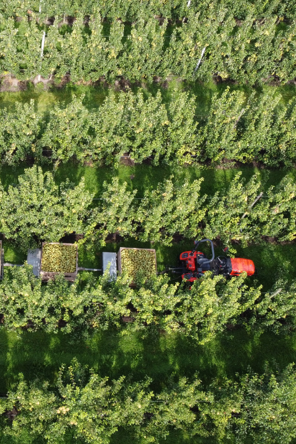 Alles onder één dak