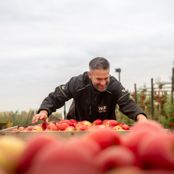 Wat je mag verwachten