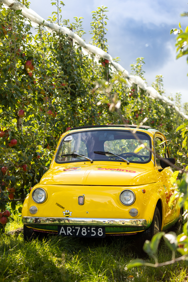 Samen werken aan ideeën die verder gaan dan de boomgaard